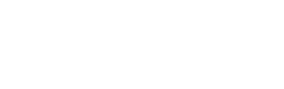 Dvorservis logo